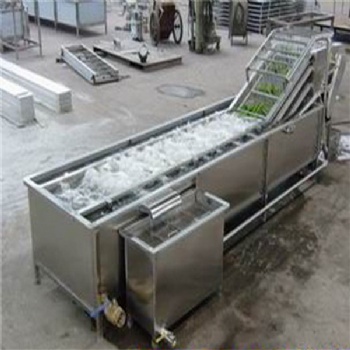 廠家生產全自動蔬菜清洗機 青椒氣泡清洗機