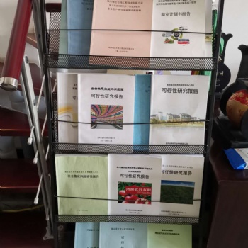 專業(yè)代寫可行性研究報告、商業(yè)計劃書、資金申請報告等