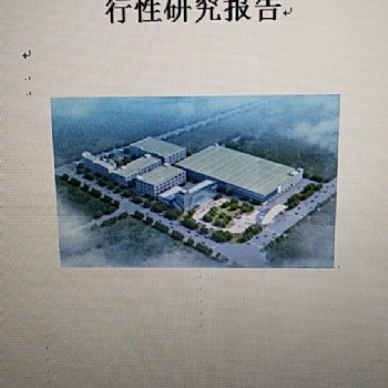 上海市代寫項(xiàng)目融資報(bào)告