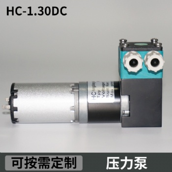 美創(chuàng)力噴碼機(jī)微型齒輪壓力泵