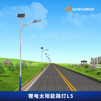 向日葵L5節能智能型鋰電池6米40W太陽能LED路燈廠家