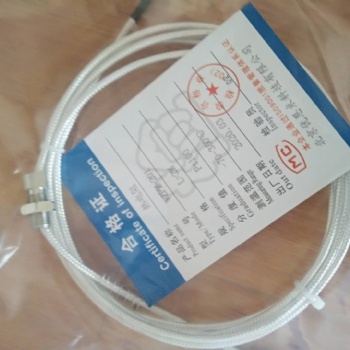 WZP-002E，WZPM-201，L=0.5M/1M /2M 北京優(yōu)恩米科技傳熱電阻感感器生產(chǎn)加工