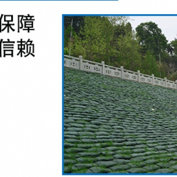 護(hù)坡生態(tài)袋 河道護(hù)坡 聚丙烯綠化生態(tài)袋