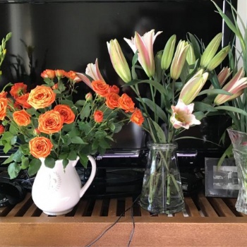 FlowerPlus花加：有關(guān)鮮花的打理及養(yǎng)護誤區(qū)