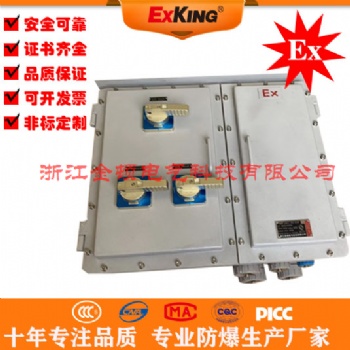BXM-D8030系列防爆防腐照明動(dòng)力配電箱
