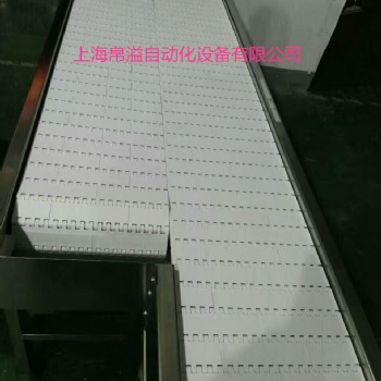 上海帛溢噴淋殺菌線塑料網帶輸送鏈