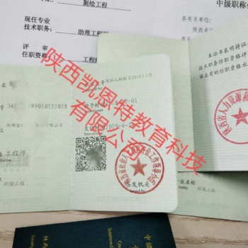 委托申報陜西省2020年關(guān)于工程師職稱的條件