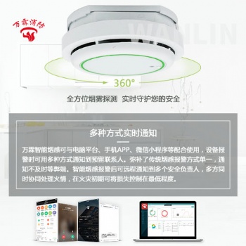 萬(wàn)霖WIFI獨(dú)立式煙霧探測(cè)傳感器
