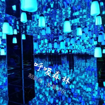 紫晨游樂呼吸森林設(shè)備齊全