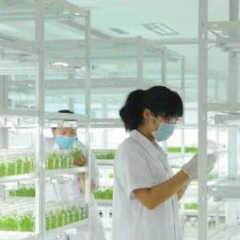 昆明組培貨架，植物組培貨架廠
