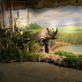 重慶室內(nèi)動物園景觀的設(shè)計及定義