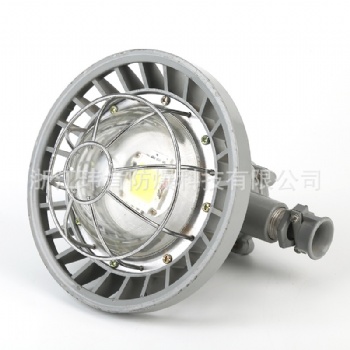 源DGS24/127L礦用LED巷道燈，隔爆型巷道燈價格