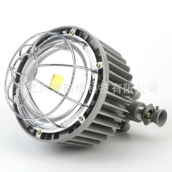 DGS50/127L礦用LED巷道燈 廠家批發(fā)價(jià)格