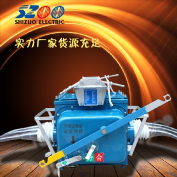 浙江世卓 FZW28分界真空負(fù)荷開關(guān)帶線纜廠家