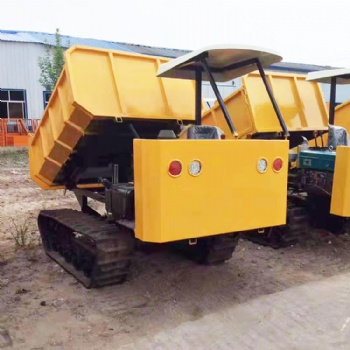 廠家銷售小型履帶運(yùn)輸車 果園裝載運(yùn)輸車 自卸式履帶運(yùn)輸車