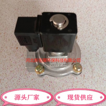 電磁脈沖閥 脈沖電磁閥 1寸24v/220v經濟閥 精品閥現貨供應