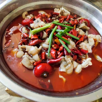 長沙饞嘴跳跳蛙技術(shù)培訓學校