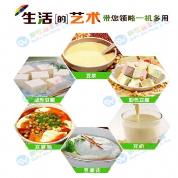 福建平潭大型全自動(dòng)豆腐機(jī)生產(chǎn)線 廠家 保教技術(shù)