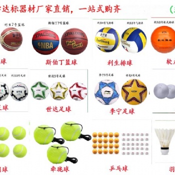 學(xué)校體育器材中小學(xué)體育器材中小學(xué)招標(biāo)器材