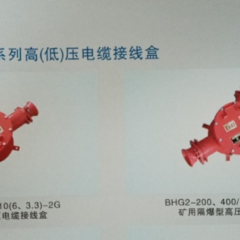 BHG2-400（200）/10-2G，BHG2-400（200）/10-3G礦用隔爆型高壓電纜接線