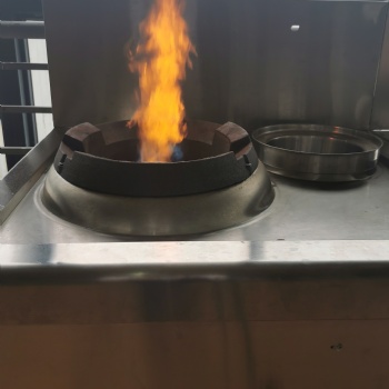 現大力發展環保燃料替代液化氣 顆粒燃料