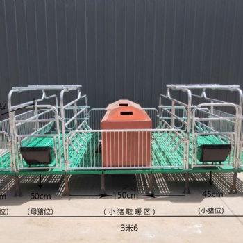 分娩床 養豬設備泊頭廠家