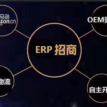 跨境電商無貨源店群項目，亞馬遜ERP系統代理定制