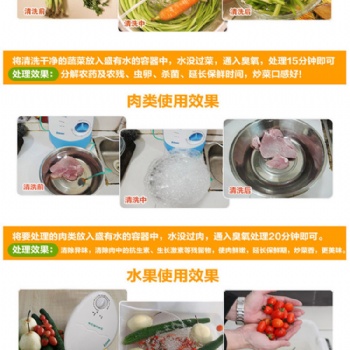 多功能果蔬凈化器 活氧機(jī) 臭氧機(jī) 瓜果蔬菜機(jī) 空氣消毒機(jī)