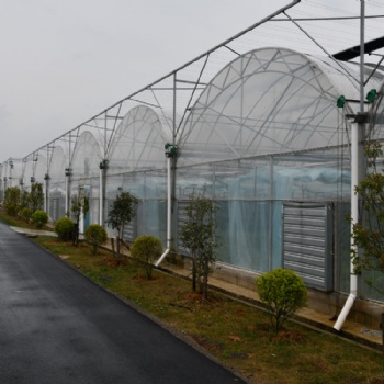 建達JD 連棟溫室大棚 薄膜連動大棚 塑料薄膜大棚