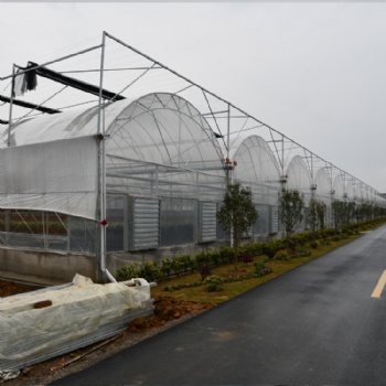 建達JD 連棟大棚 連棟溫室大棚 薄膜連棟大棚