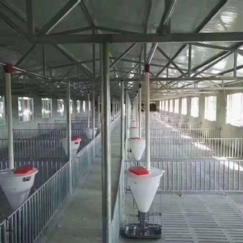 塞盤鏈條養(yǎng)豬自動料線 自動化飼喂設備料線 豬舍刮糞機