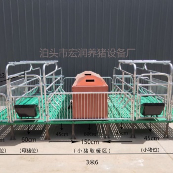 豬產床 泊頭市宏潤養(yǎng)豬設備廠家