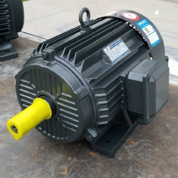 三相異步電動(dòng)機(jī)廠家