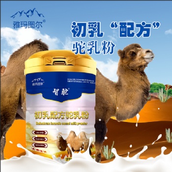 伊犁雪蓮乳業(yè)智駝初乳配方駝乳粉