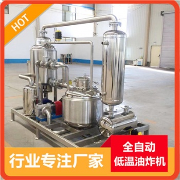 山東華力廠家供應(yīng)大型商用真空低溫油炸機(jī) 廠家現(xiàn)貨