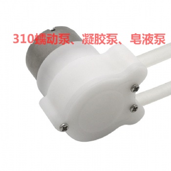廠家供應(yīng)310蠕動泵洗手液泵給皂液齒輪泵洗手機(jī)皂液泵凝膠泵