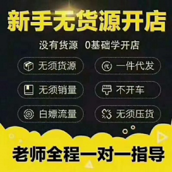 拼多多無貨源店群軟件代理加盟，運營技術免費教學