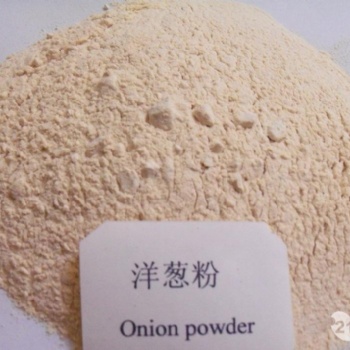 洋蔥粉 調(diào)味品香辛料 大西北洋蔥 實(shí)力廠家 琦軒食品 廣東東莞
