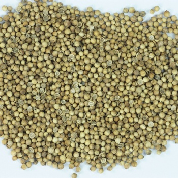 芫荽粉 香菜籽粉 實(shí)力廠家 調(diào)味品香辛料 廠家 琦軒食品 廣東東莞
