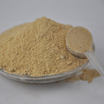 黨參粉 調(diào)味品香辛料 量大優(yōu)惠 廠家 琦軒食品