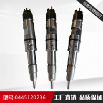 噴油器總成型號(hào)齊全 廠家 型號(hào)齊全