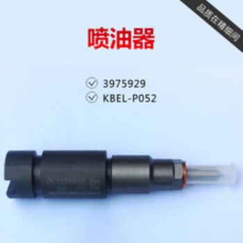 噴油器總成柴油車共軌輕卡大貨車電噴型號(hào)齊全2