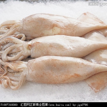 海鮮進(jìn)口，不得不知的**過程！報(bào)關(guān)報(bào)檢