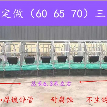 母豬限位欄 加寬加高可定制 畜牧養(yǎng)殖設備