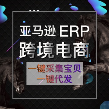 山東亞馬遜教學(xué)培訓(xùn)ERP系統(tǒng)數(shù)據(jù)私有化獨(dú)立部署體系搭建ERP系統(tǒng)OEM貼牌招商孵化