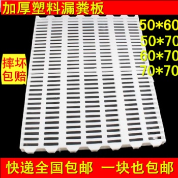 漏糞板 塑料漏糞板 畜牧機(jī)械設(shè)備