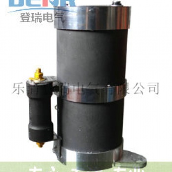 源頭廠家一次消諧器安裝XQIIID-10,LXQ2D-10 高品質(zhì)