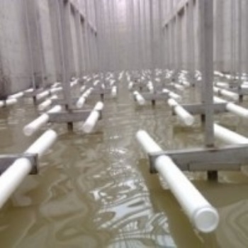 高效充氧管式曝氣器、一體化鼓風(fēng)式曝氣器設(shè)備、烏克蘭進(jìn)口微孔曝氣管、進(jìn)口高分子管式曝氣器