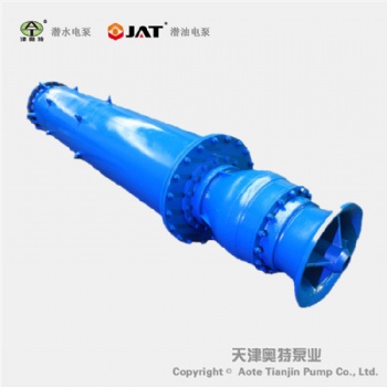 井用下吸式潛水泵_價格_參數(shù)_報價
