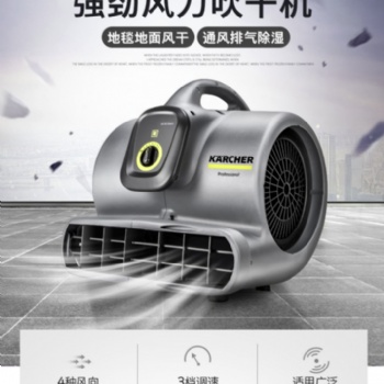 強(qiáng)勁風(fēng)力吹干機(jī)德國卡赫karcherAB30酒店**衛(wèi)生間吹干機(jī)有現(xiàn)貨